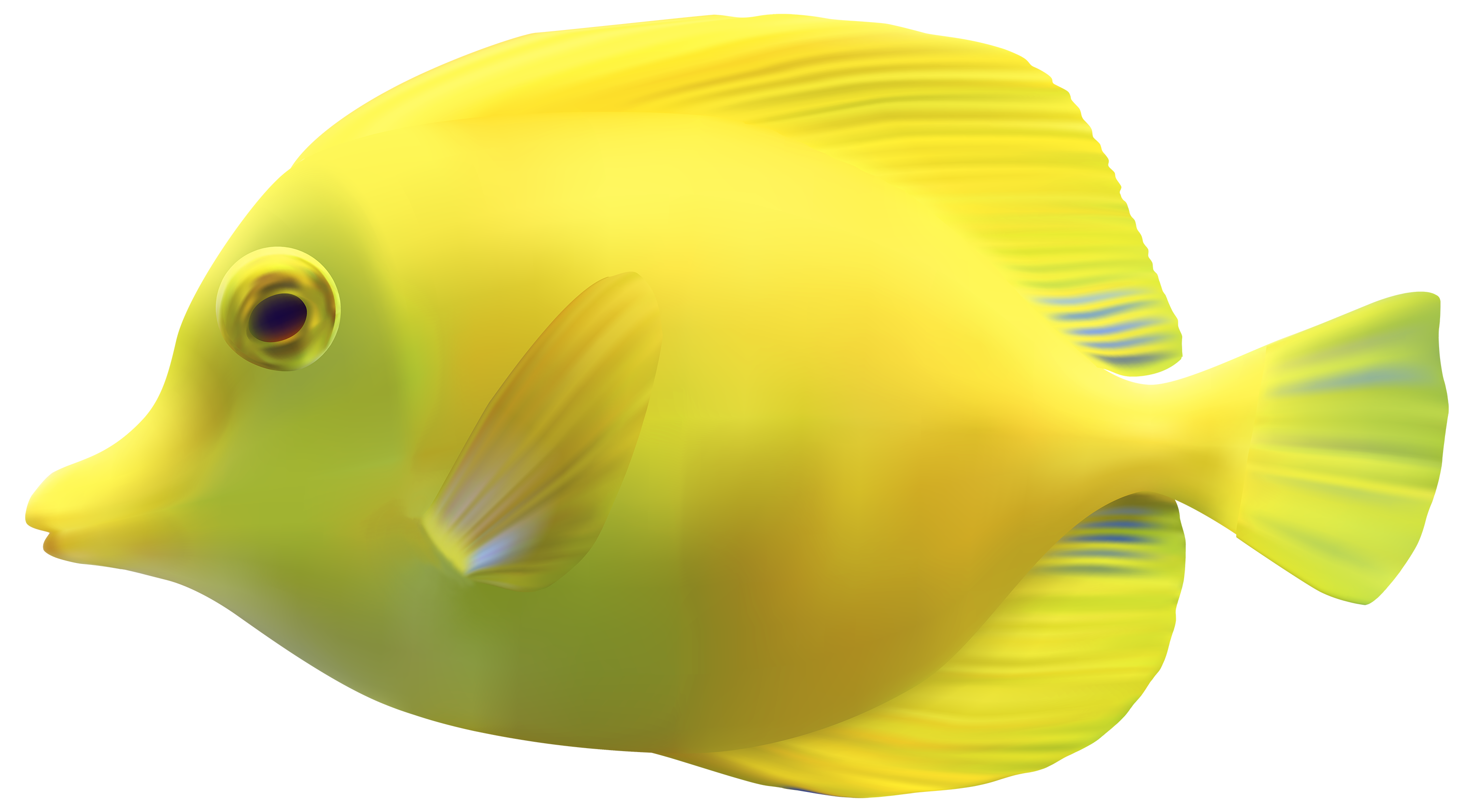 yellowfish